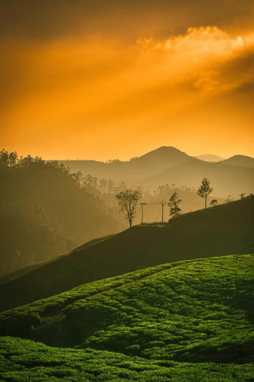 South India